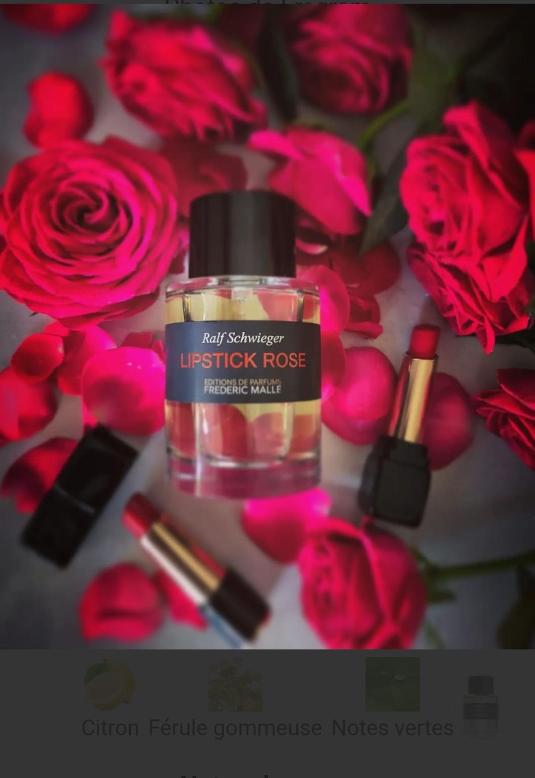 Frédéric Malle Lipstick Rose