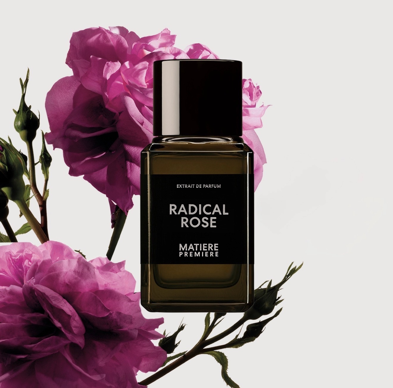 Matière Première Radical Rose Extrait