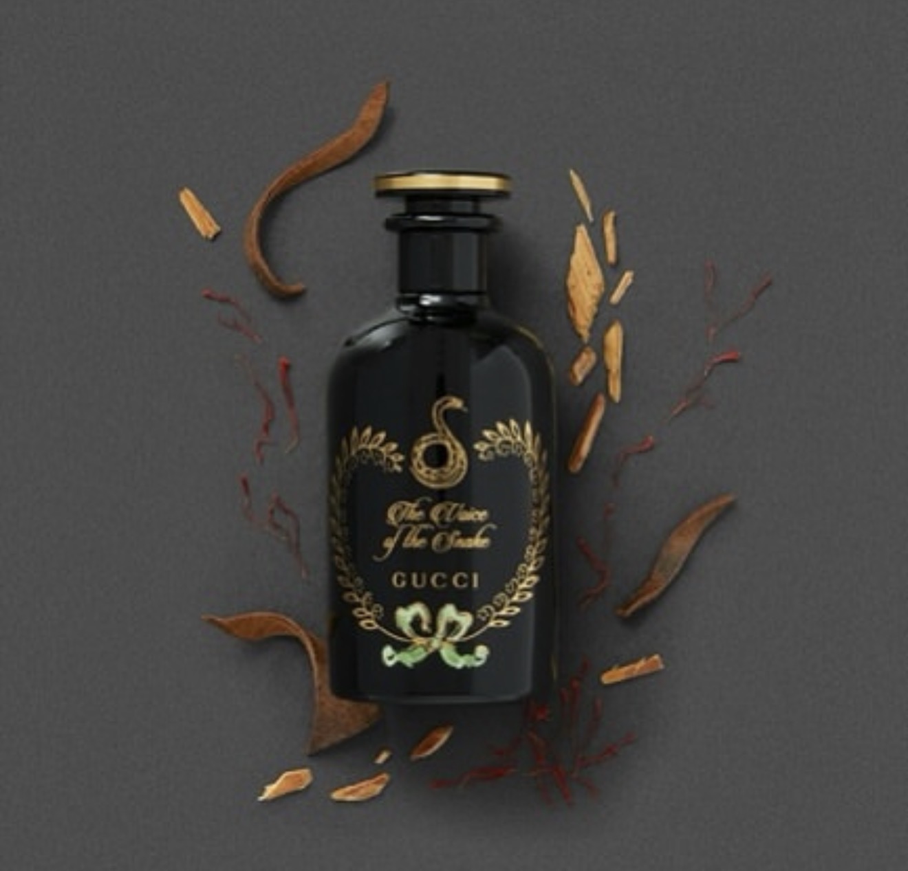 Gucci The Voice Of The Snake