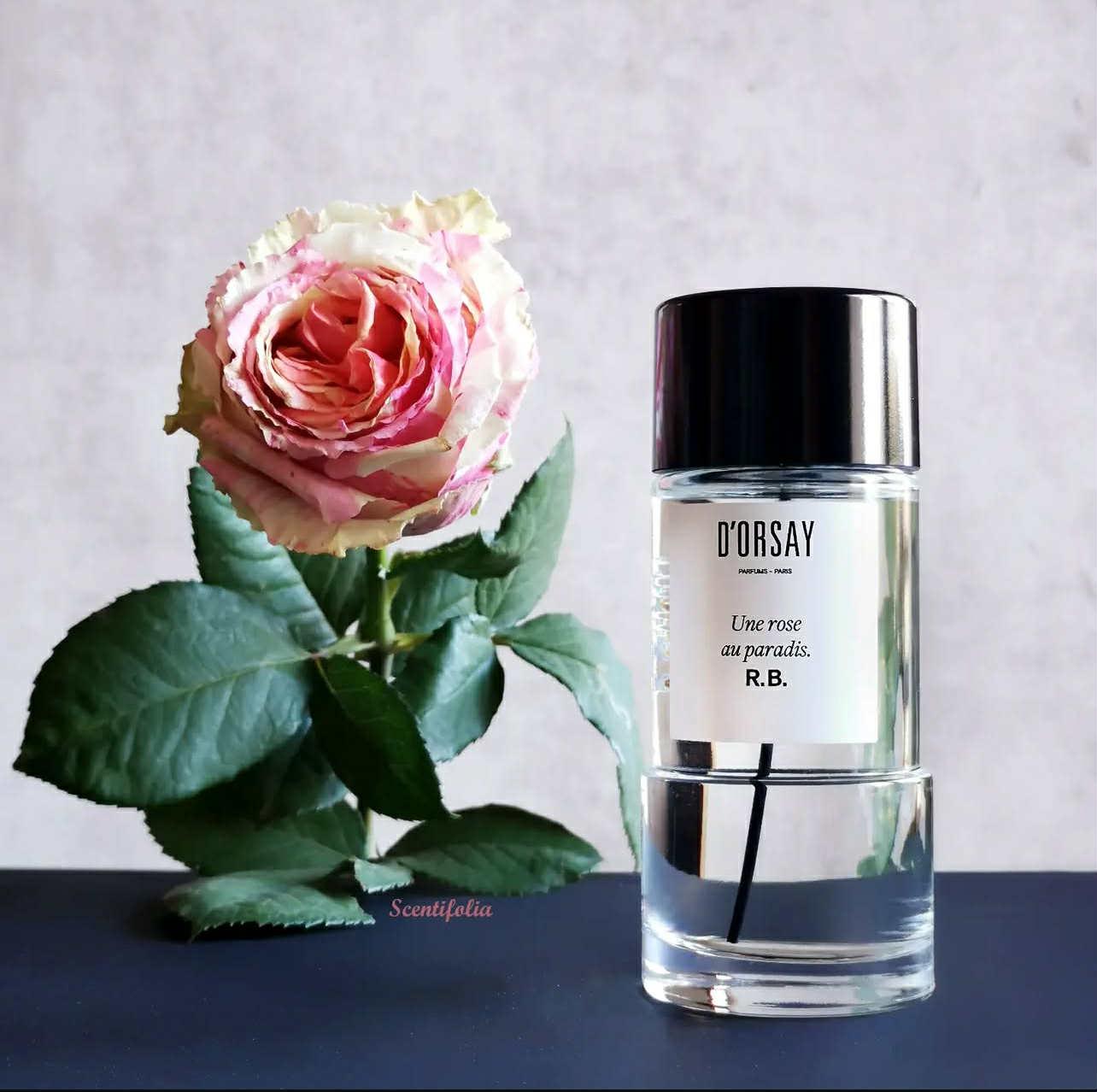 D'orsay Une Rose Au paradis