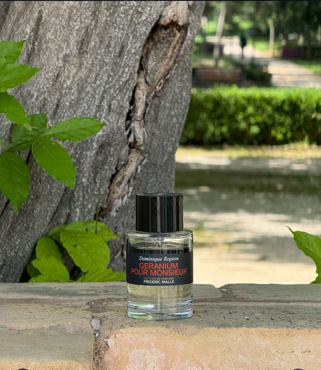 Frédéric Malle Géranium Pour Monsieur