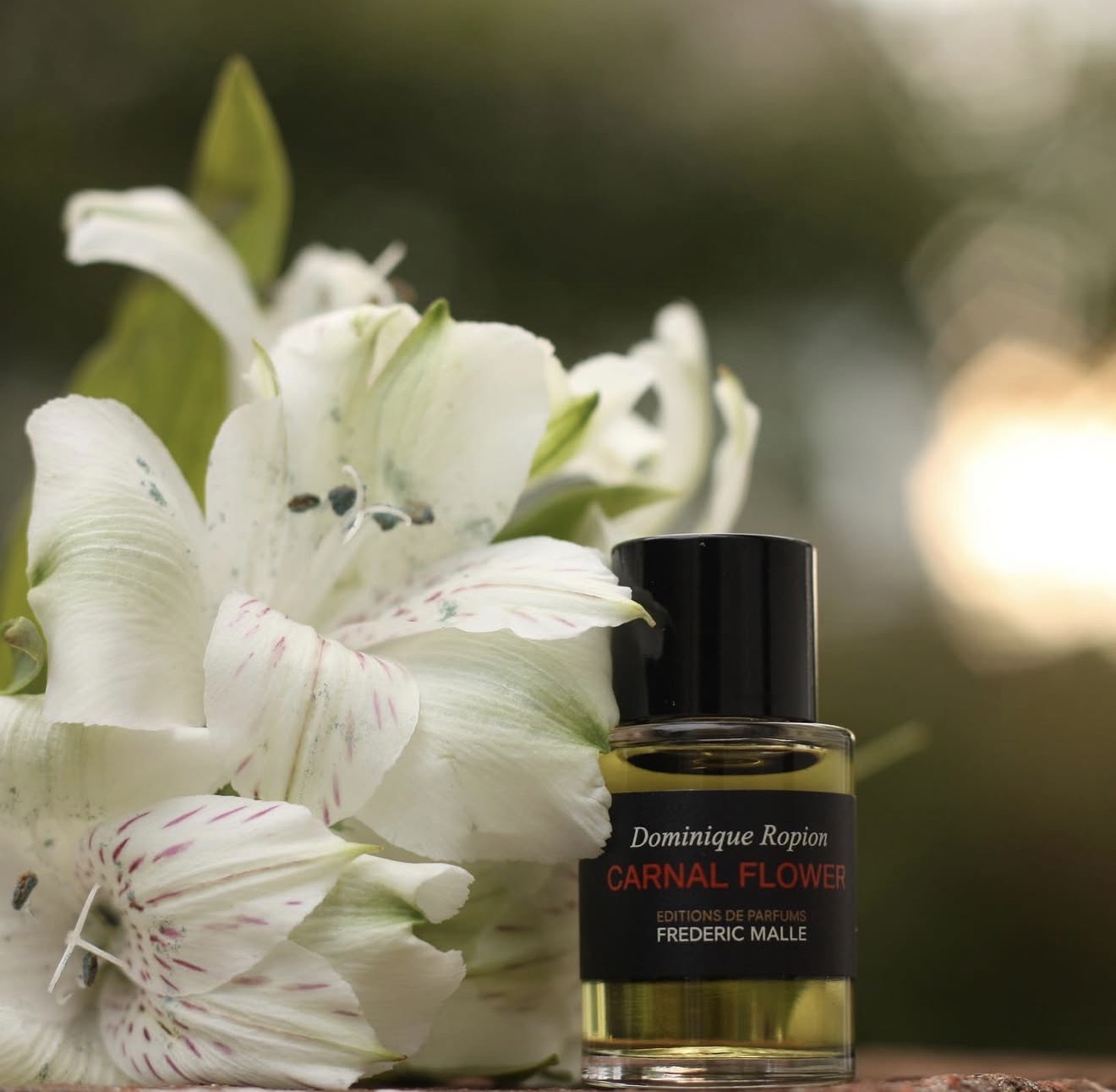 Frédéric Malle carnal Flower