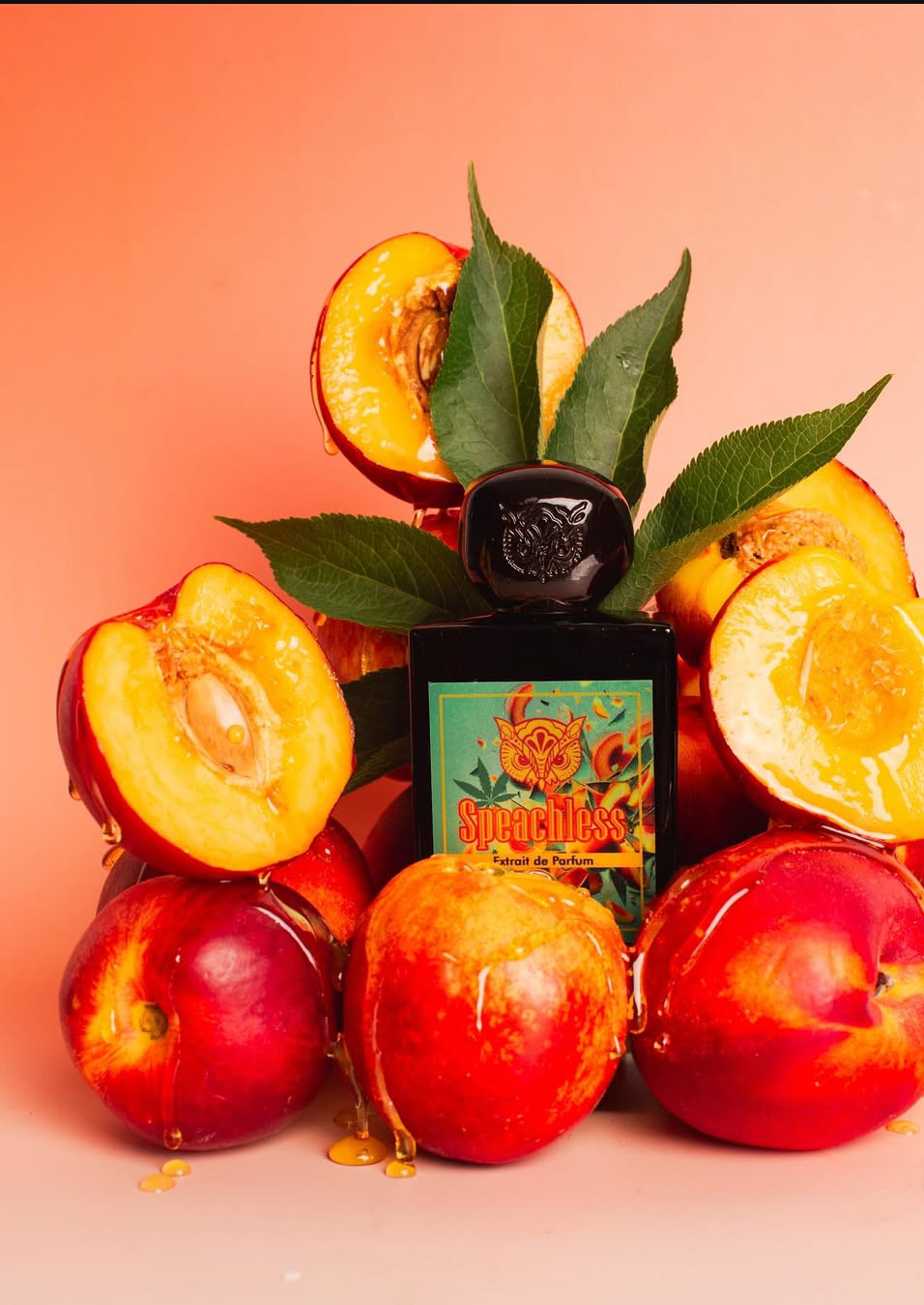 Lorenzo Pazzaglia Speachless